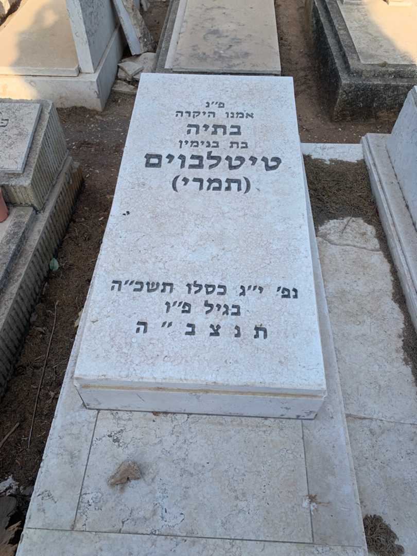 קברו של בתיה טיטלבוים (תמרי). תמונה 2
