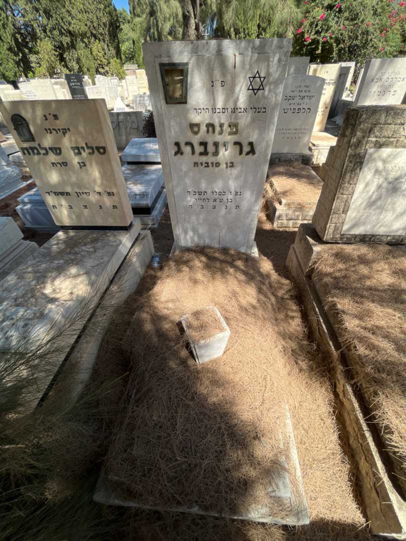 קברו של פנחס גרינברג