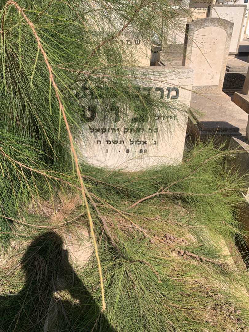 קברו של מרדכי זיידל. תמונה 2