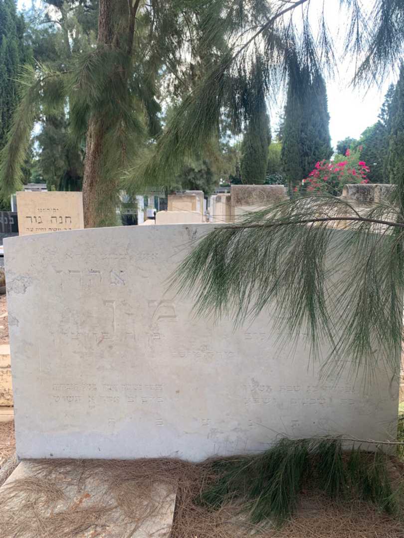 קברו של אהרן שרמן. תמונה 1