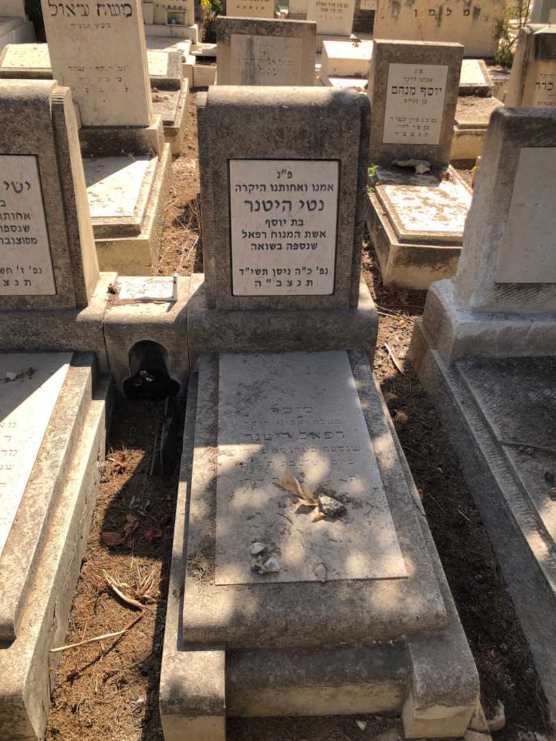 קברו של רפאל היטנר. תמונה 1