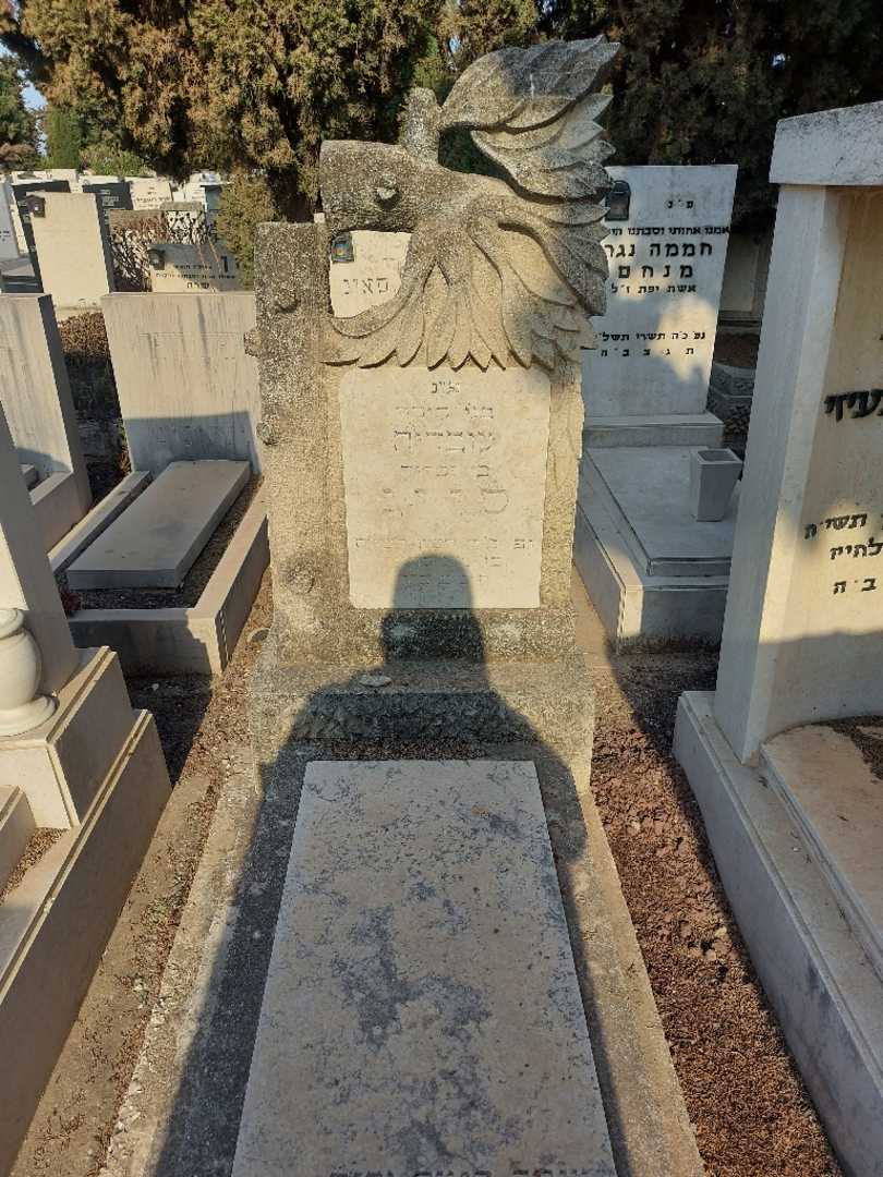 קברו של עובדיה סייג