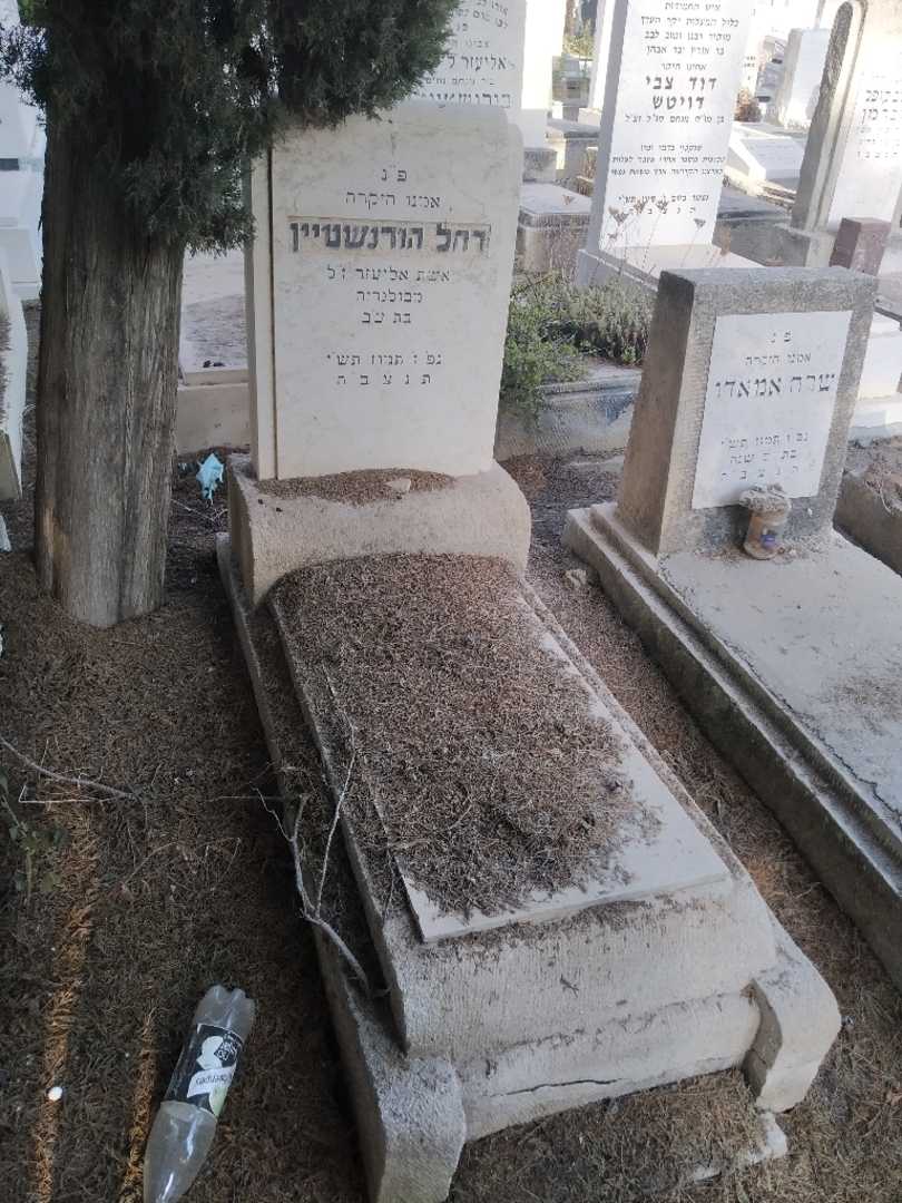 קברו של רחל הורנשטיין