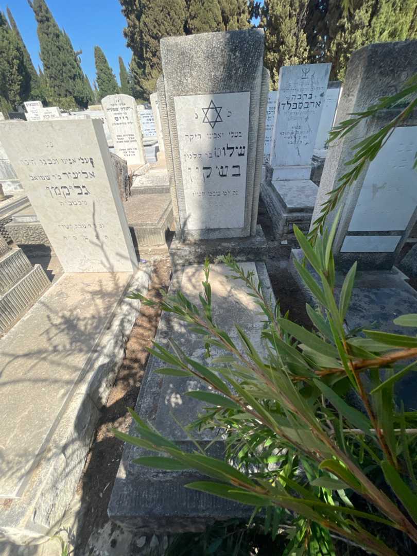 קברו של שלוס בשקין