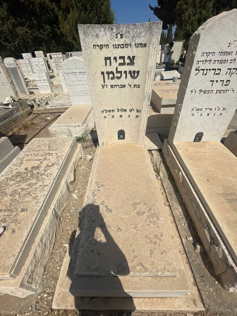 קברו של צביה שולמן