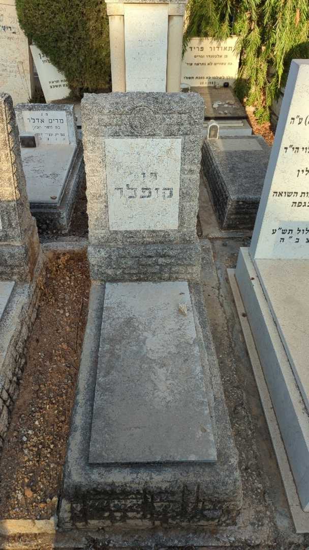 קברו של דוד קופלר. תמונה 1