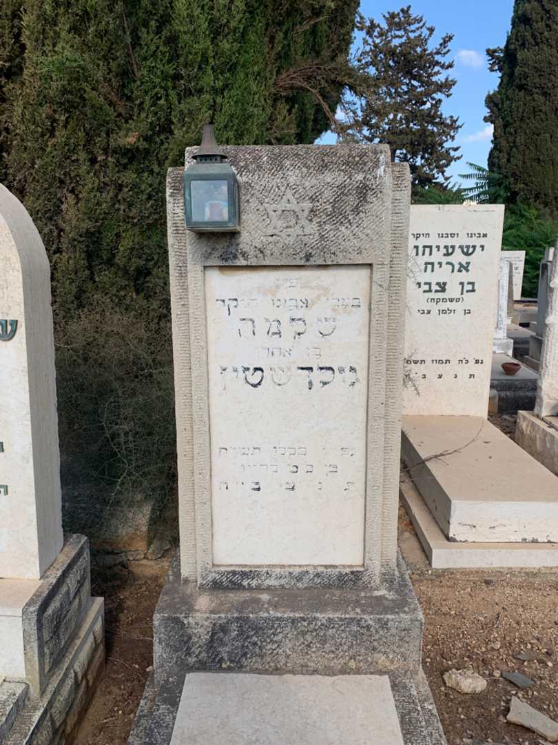 קברו של שלמה גולדשטין