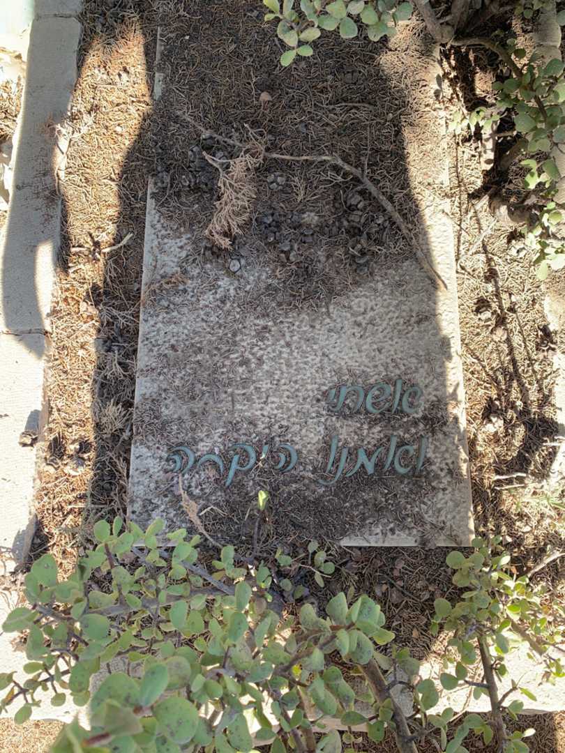 קברו של פליציה שניברג. תמונה 2