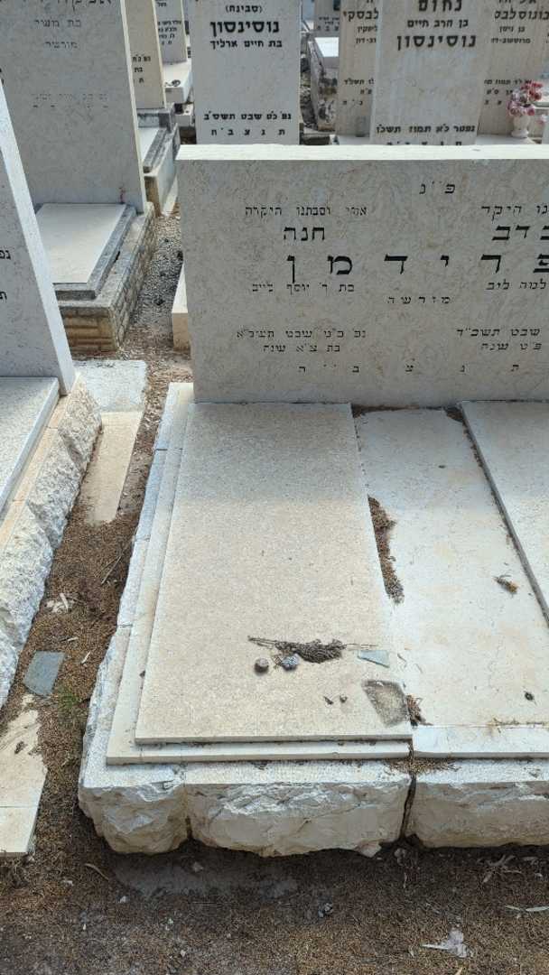 קברו של חנה פרידמן. תמונה 1