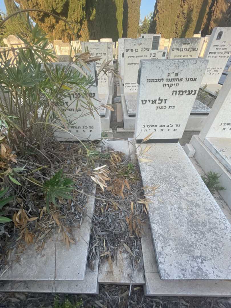 קברו של נעימה זלאיט. תמונה 1