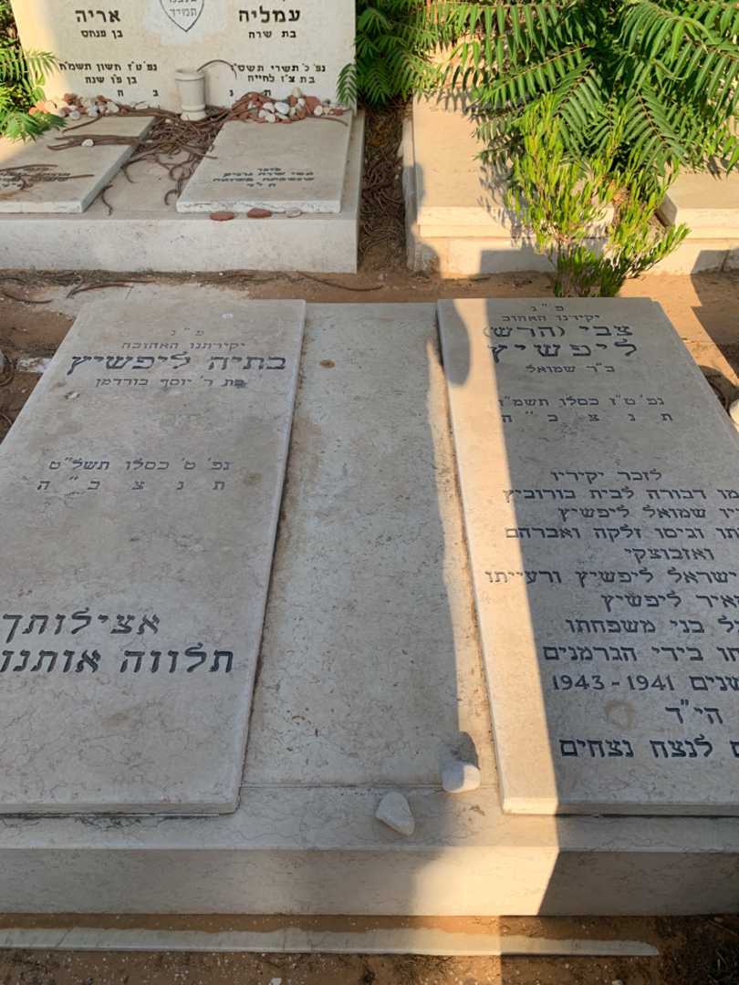 קברו של שמואל ליפשיץ. תמונה 1