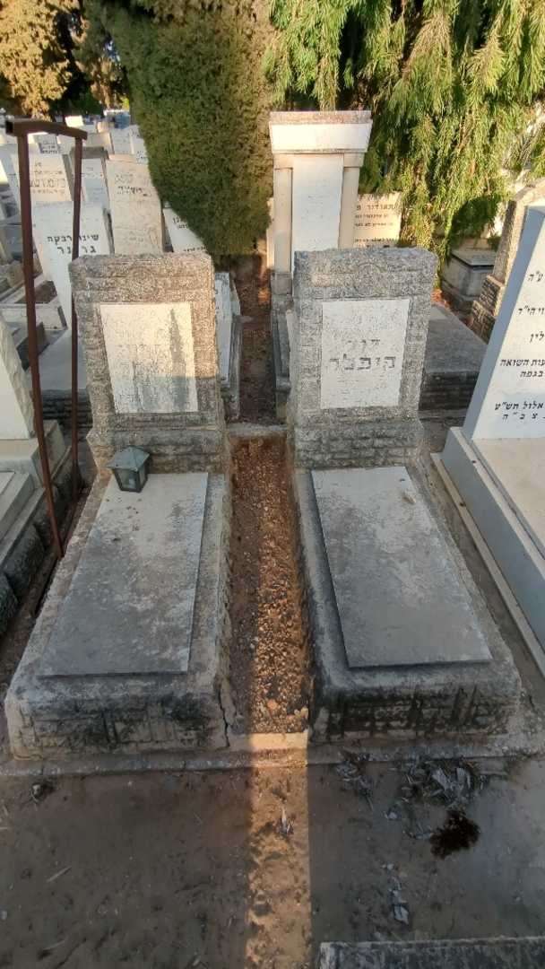קברו של דוד קופלר. תמונה 2