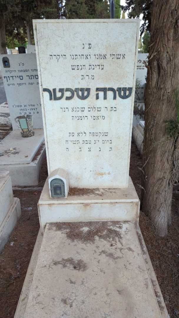 קברו של שרה שכטר