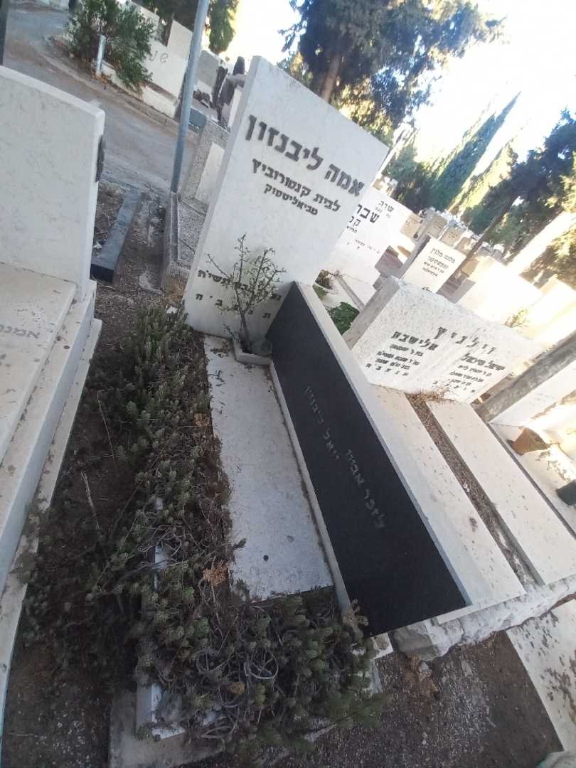 קברו של אמא ליבנזון