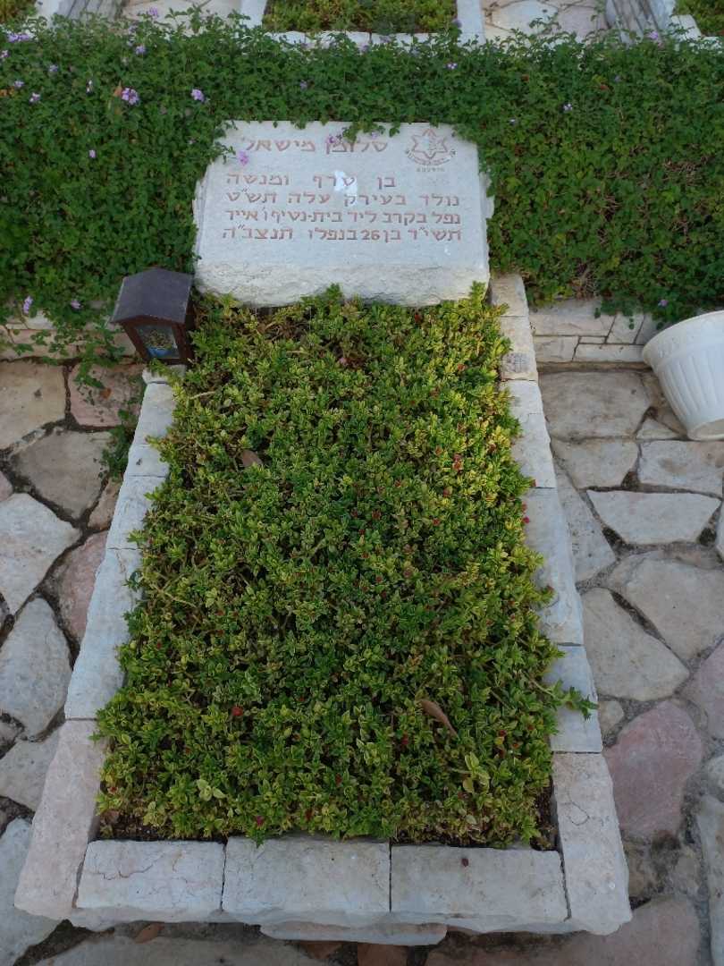 קברו של סלומן מישאל