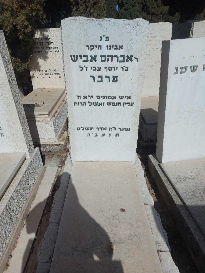 קברו של אברהם אביש פרבר