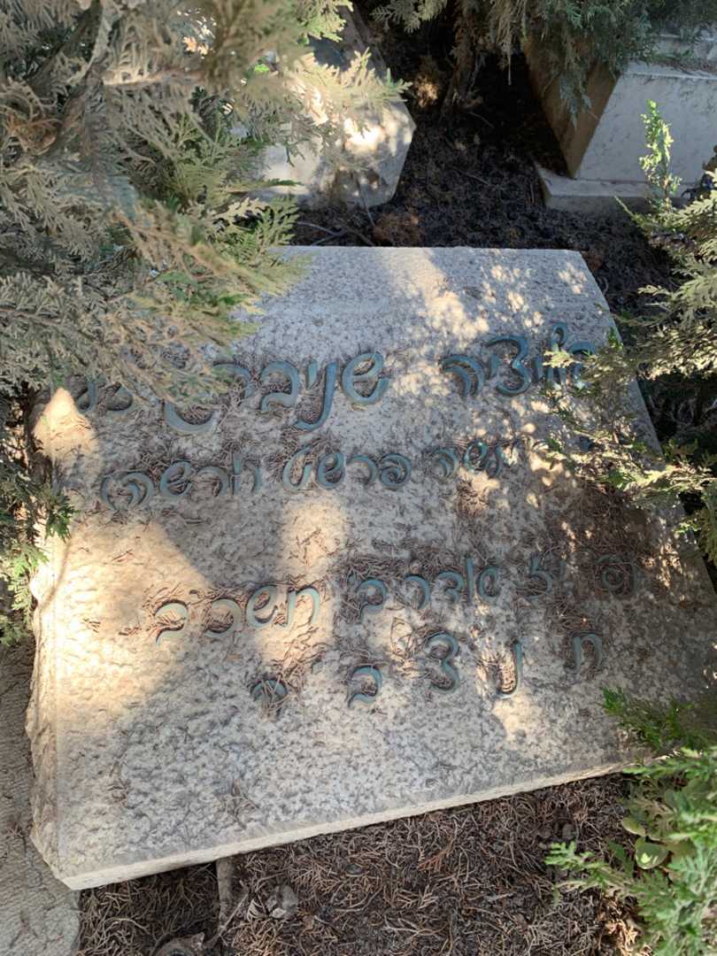 קברו של פליציה שניברג. תמונה 3