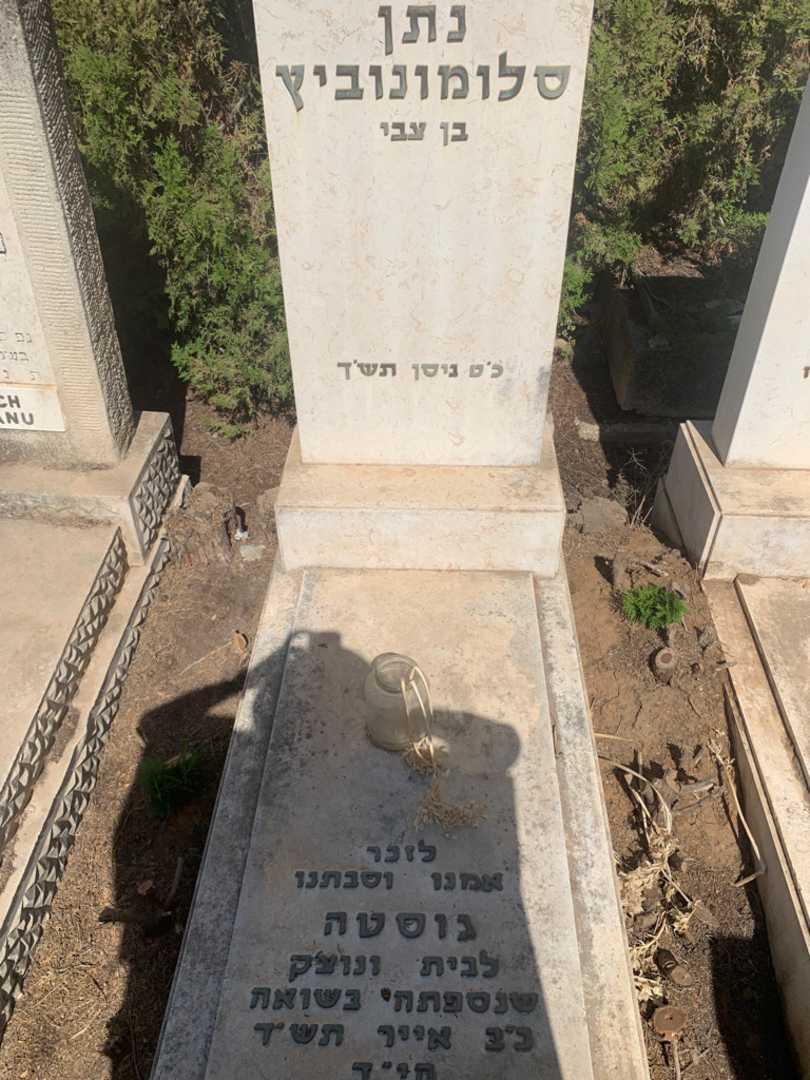 קברו של נתן סלומונוביץ