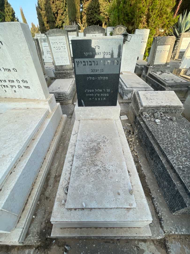 קברו של מרדכי גרבוביץ