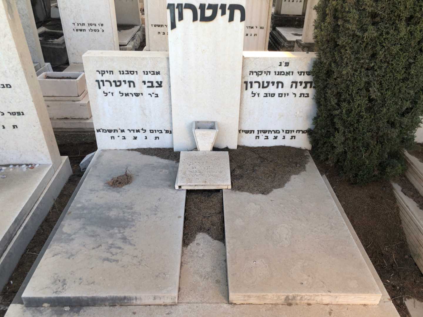 קברו של צבי חיטרון. תמונה 2