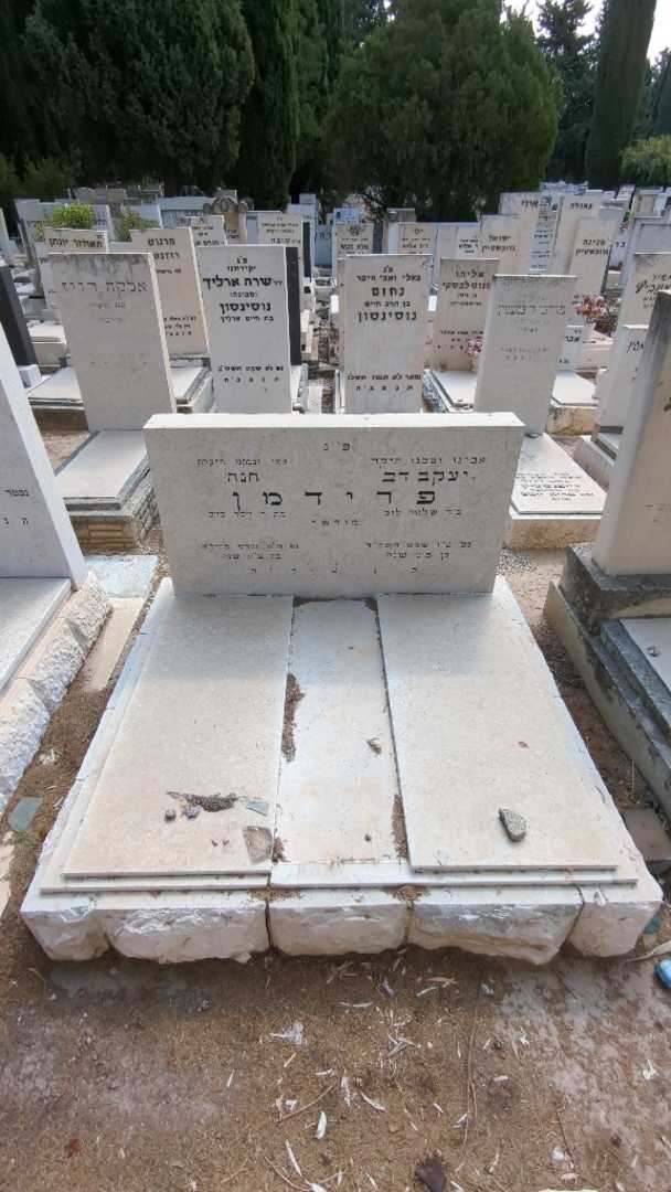 קברו של חנה פרידמן. תמונה 2