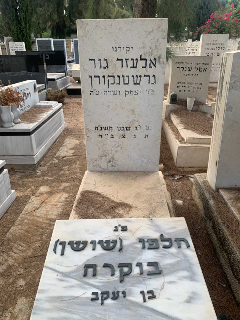 קברו של חלפו "שושן" בוקרה