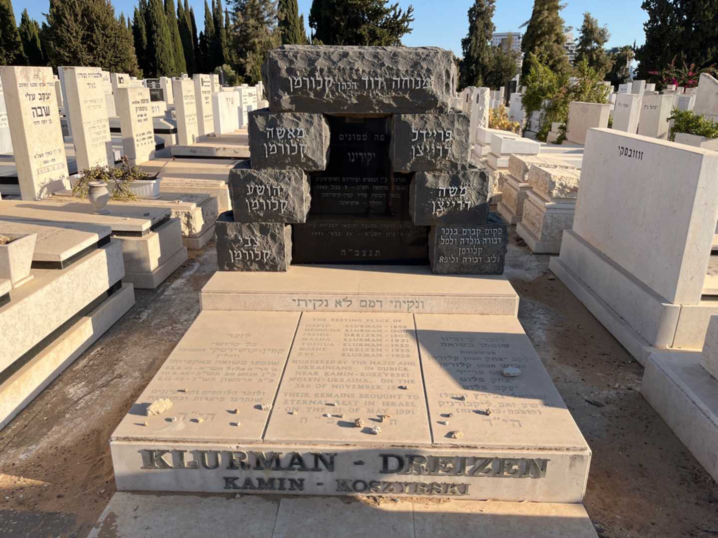 קברו של פריידל דרייצן. תמונה 1