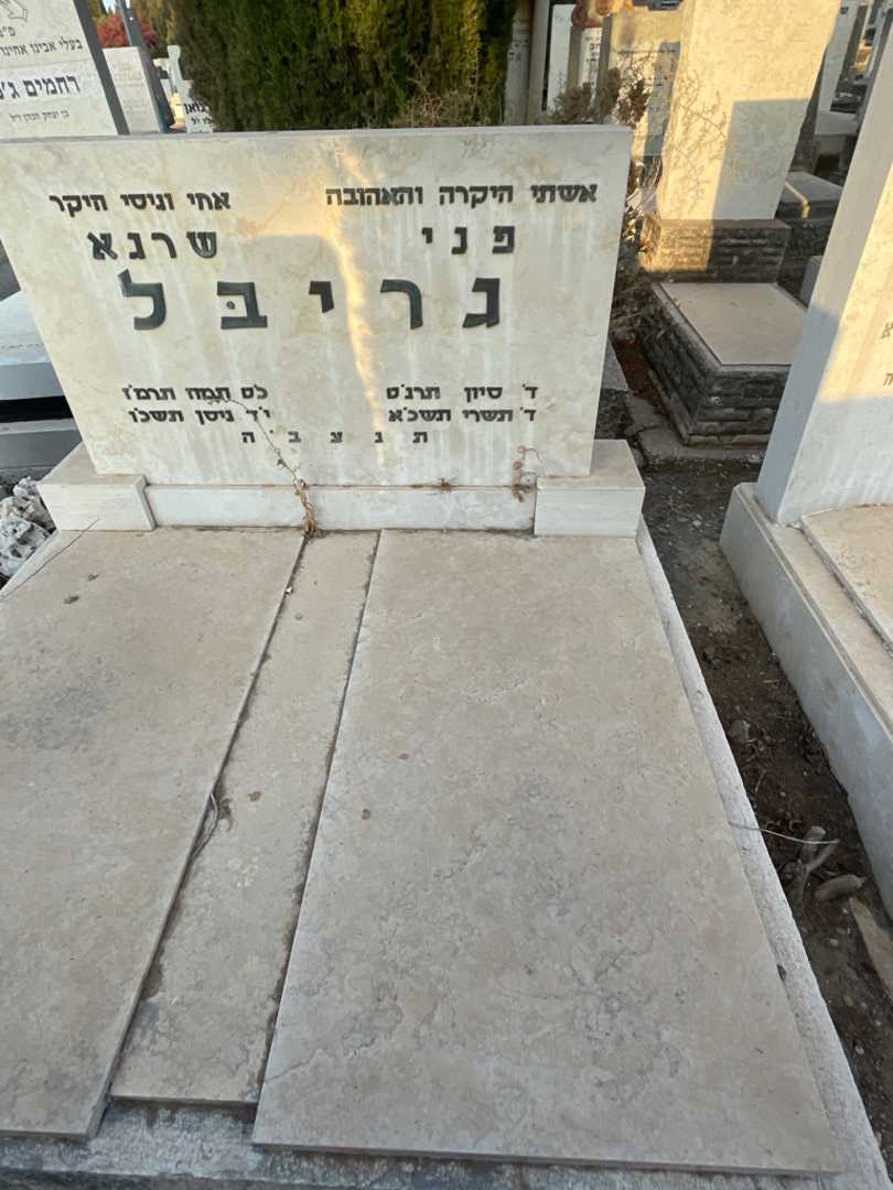 קברו של פני גריבל. תמונה 2