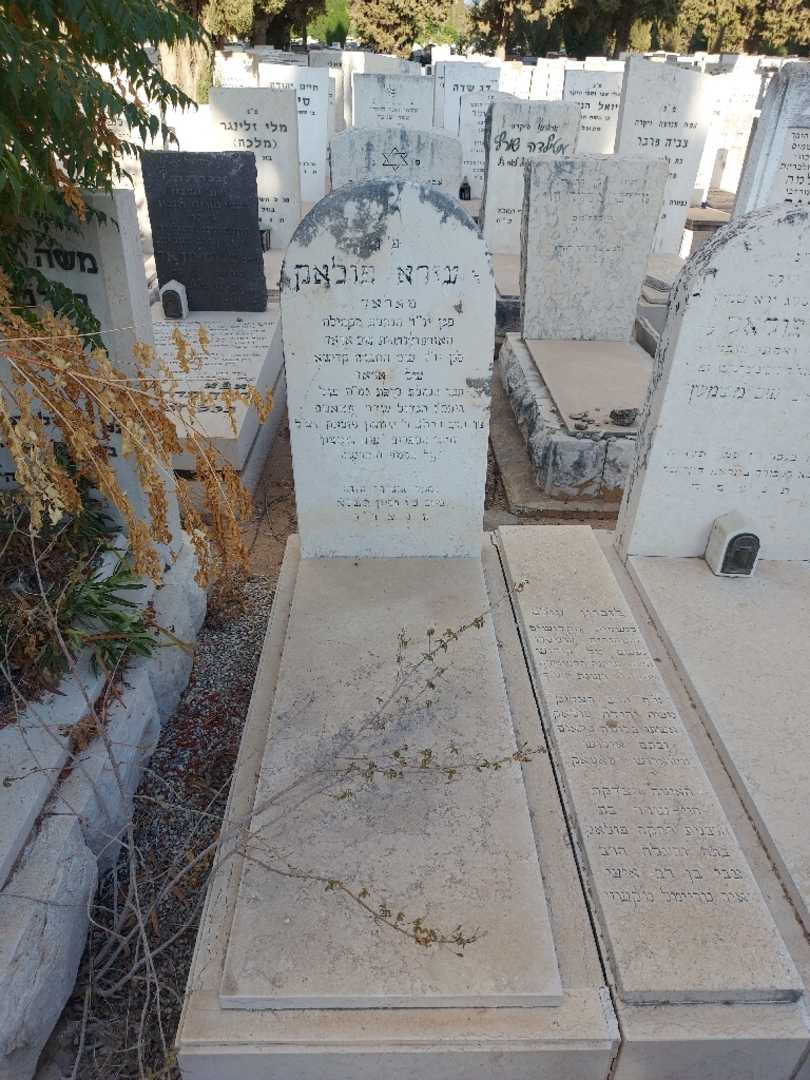 קברו של משה יהודה פולאק. תמונה 1