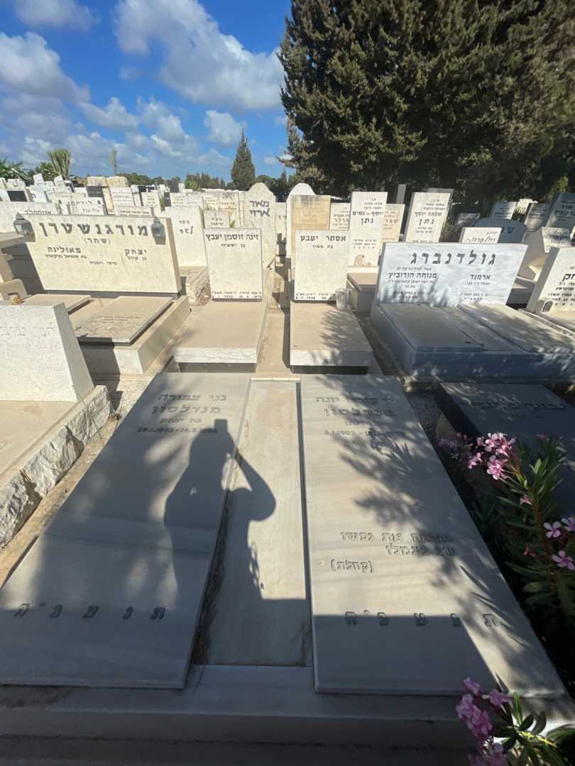 קברו של קורט יונה מנדלסון. תמונה 1