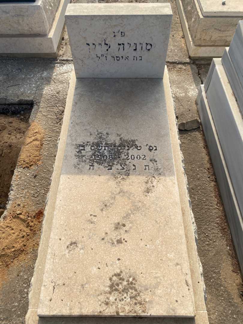 קברו של סוניה לוין