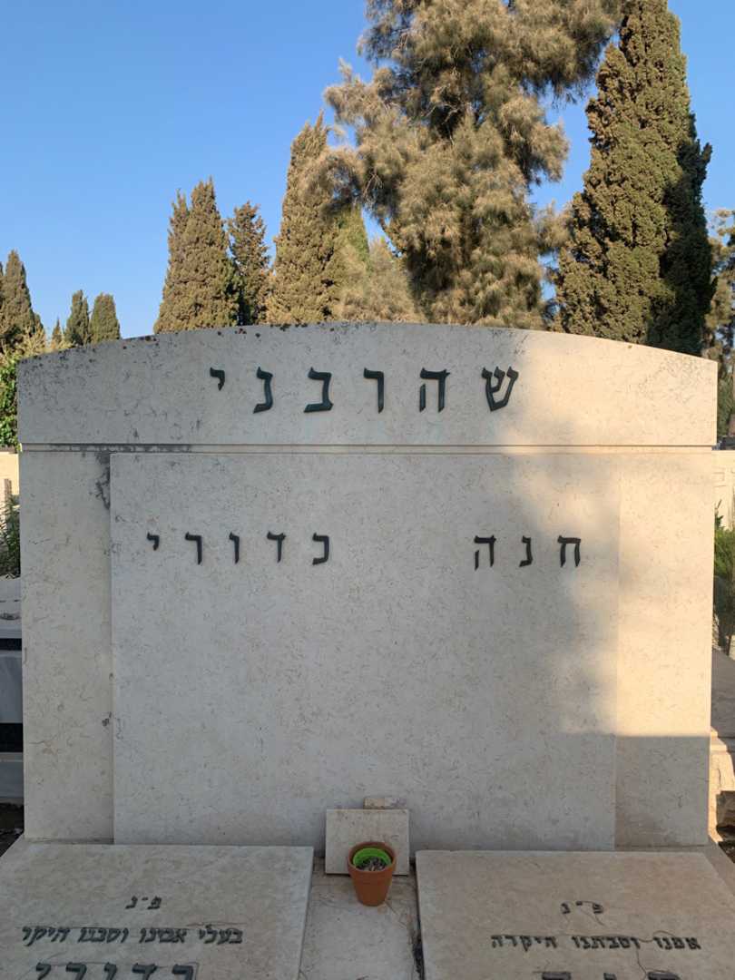 קברו של חנה שהרבני. תמונה 1