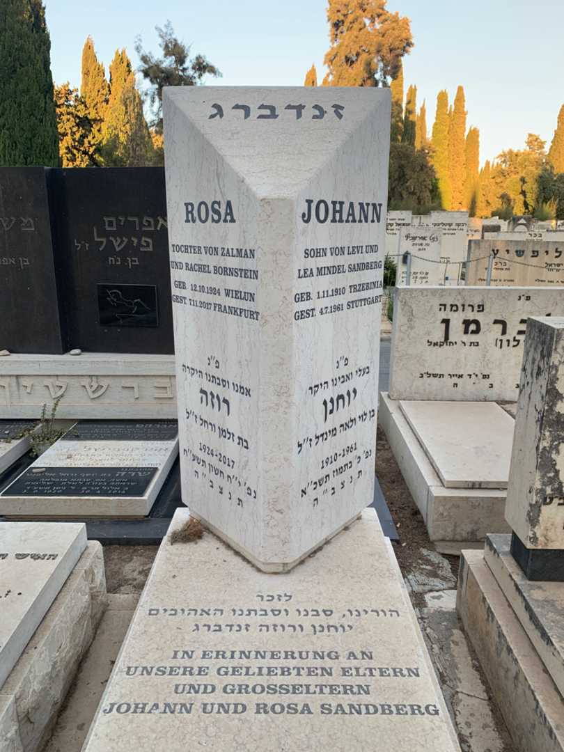 קברו של יוחנן זנדברג. תמונה 1