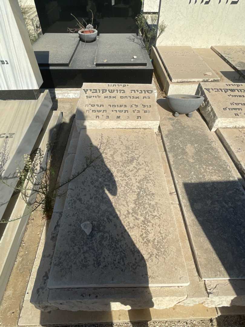 קברו של סוניה מושקוביץ. תמונה 2
