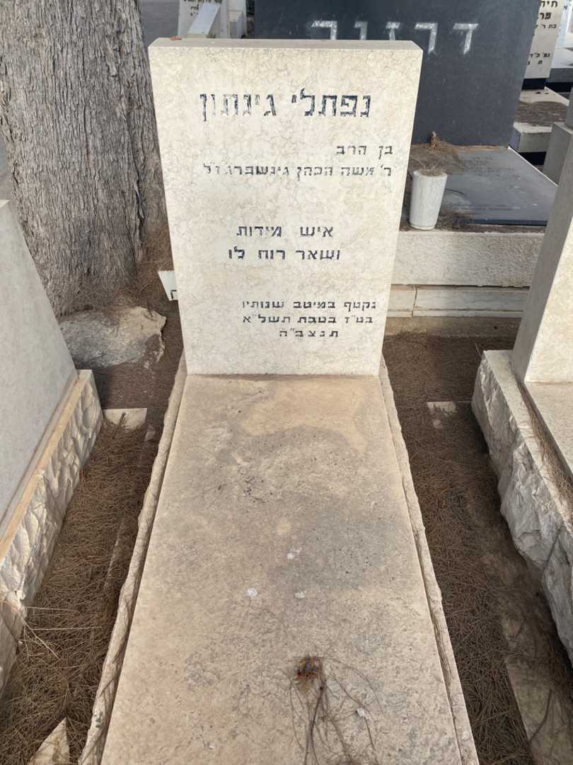 קברו של נפתלי גינתון