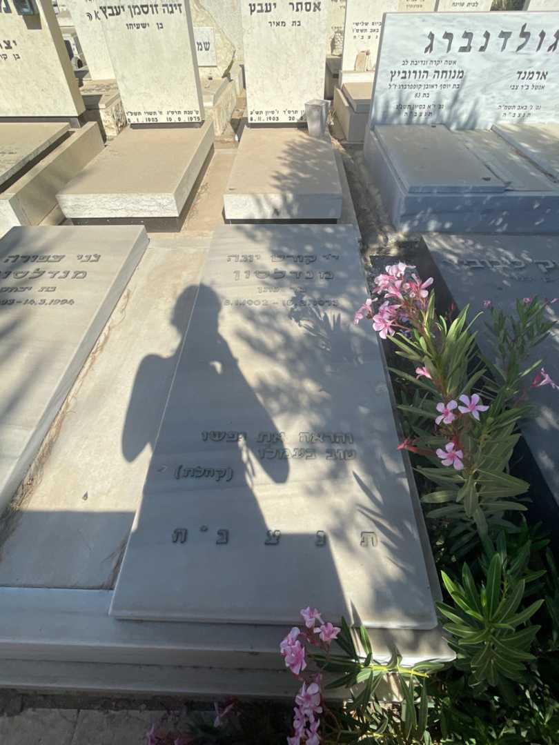 קברו של קורט יונה מנדלסון. תמונה 2