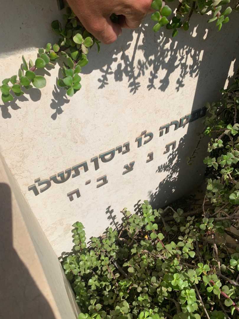 קברו של חוה אגסי. תמונה 3