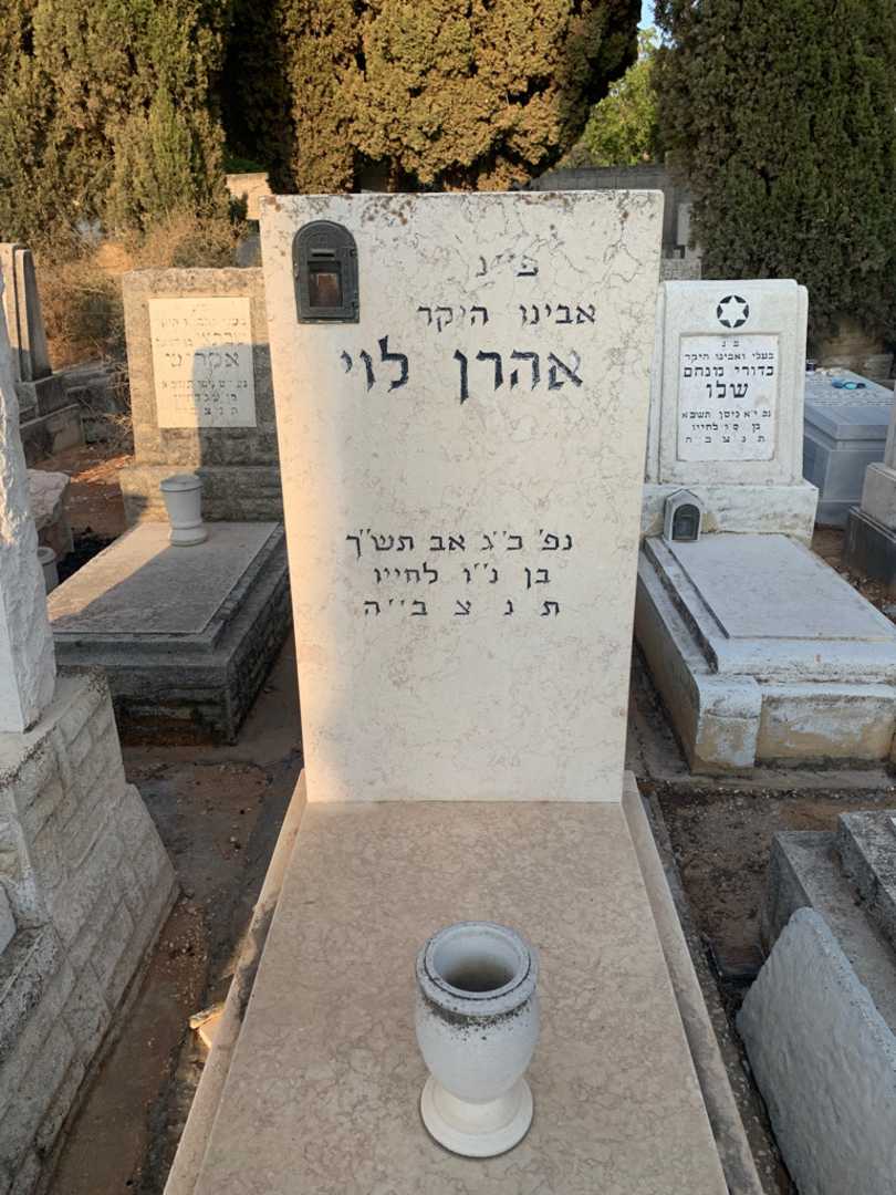 קברו של אהרן לוי