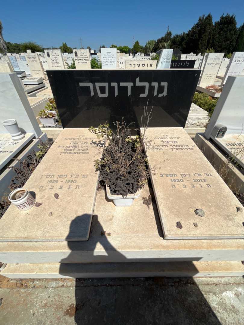 קברו של אניטה גולדוסר. תמונה 2
