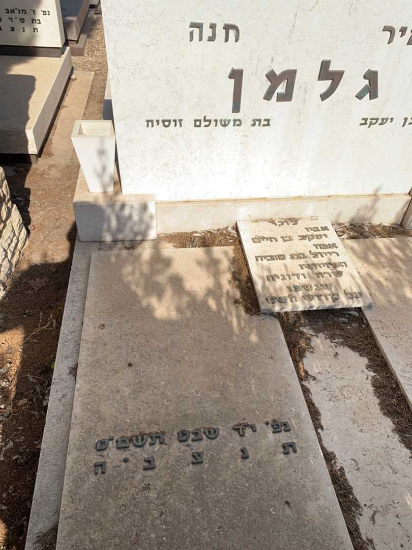 קברו של חנה גלמן. תמונה 2