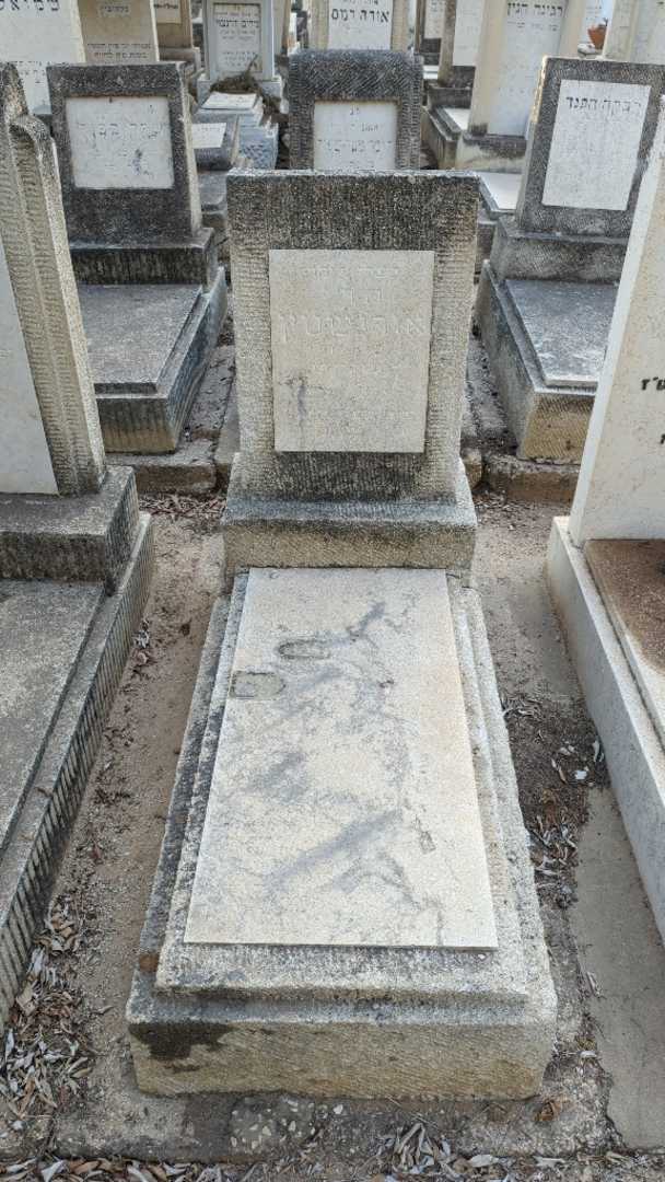 קברו של הרי אורנשטין