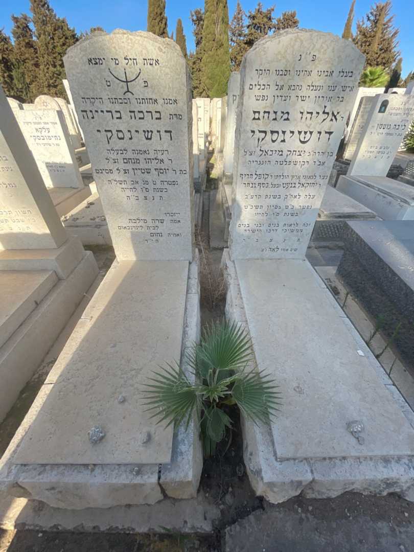 קברו של ברכה בריינה דושינסקי. תמונה 1
