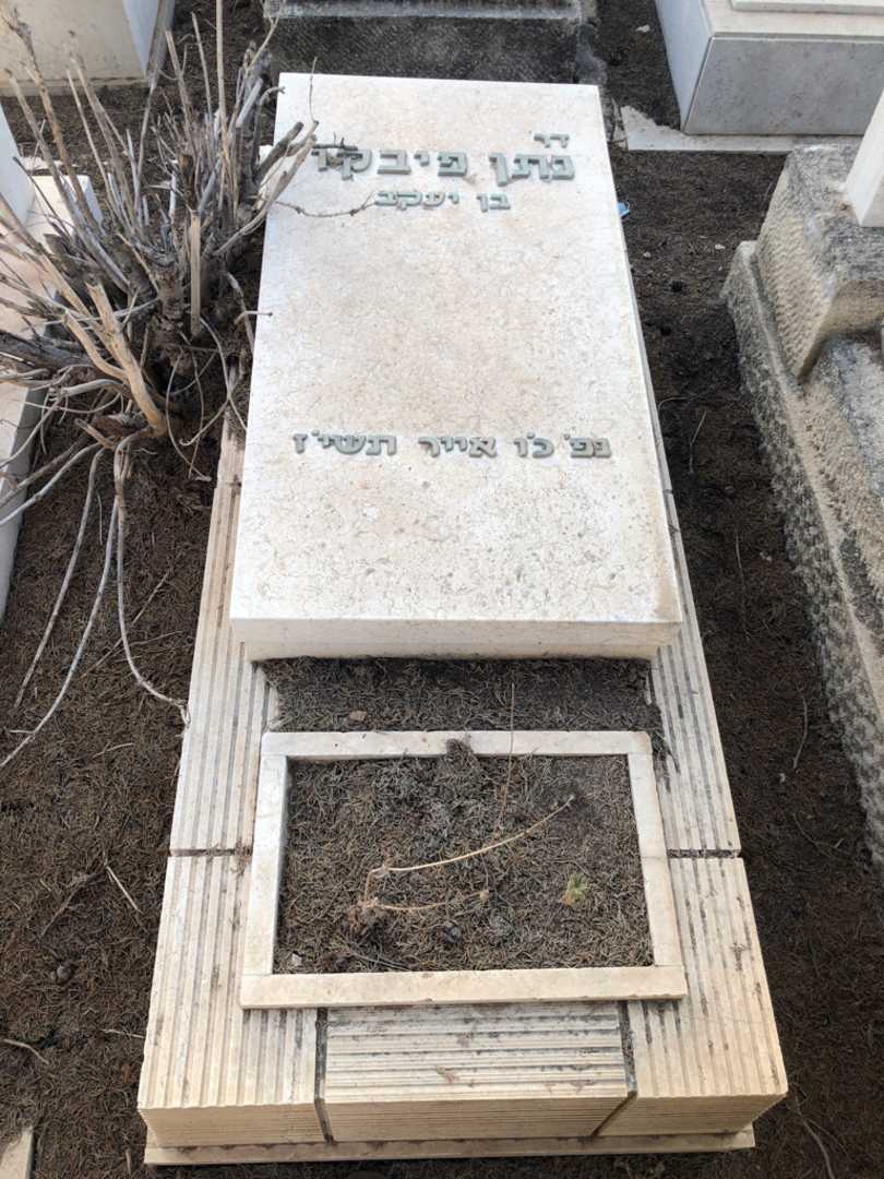 קברו של נתן פיבקו