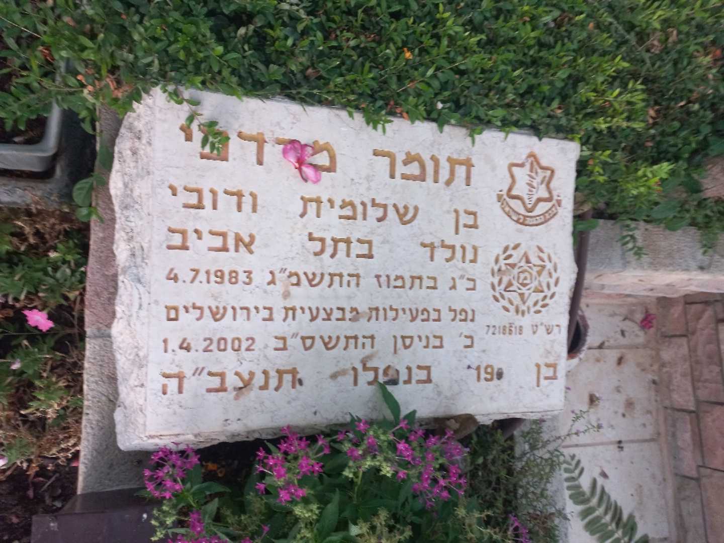 קברו של תומר מרדכי. תמונה 2