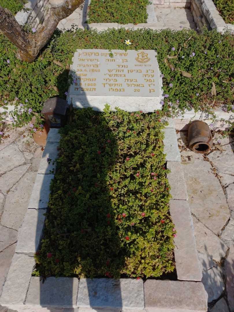 קברו של שאיל מרקוביץ