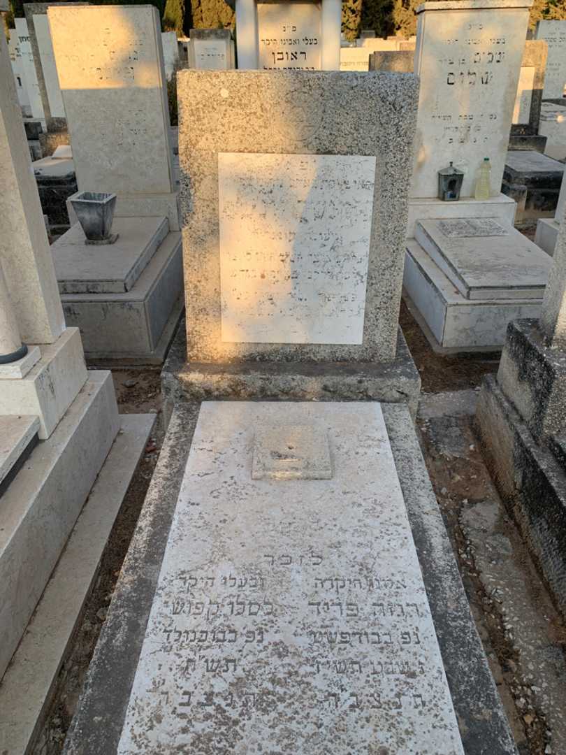 קברו של לסלו קפוש