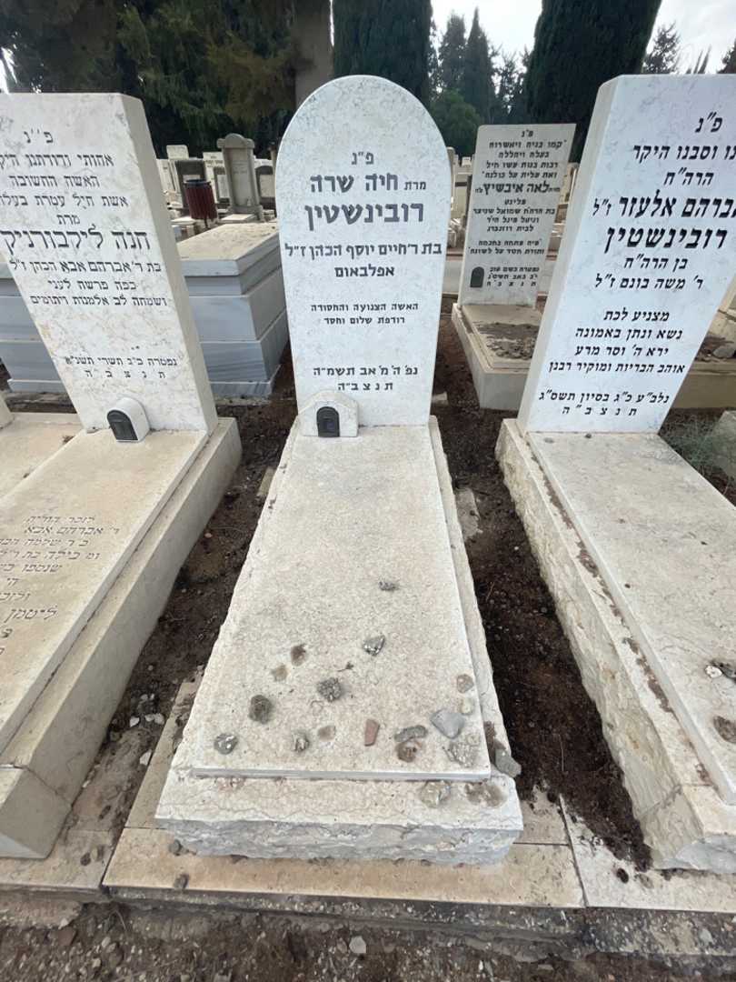 קברו של חיה שרה רובינשטין. תמונה 2