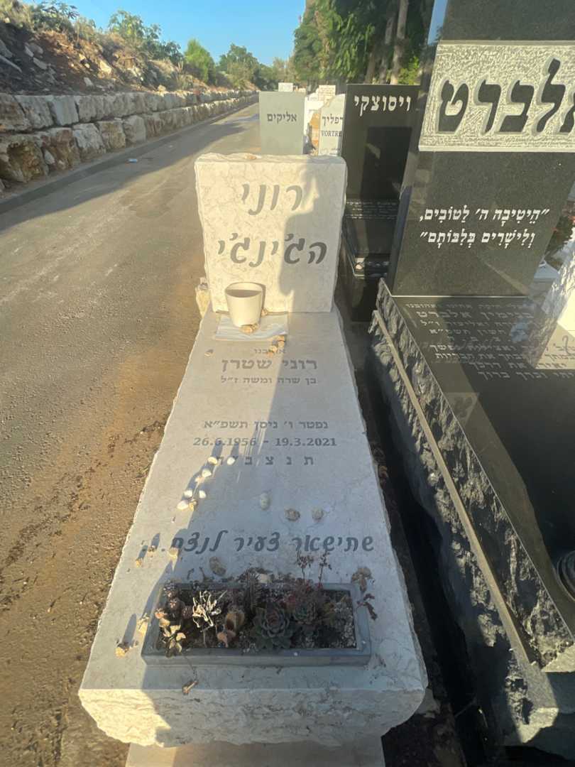 קברו של רוני "הג'ינג'י" שטרן
