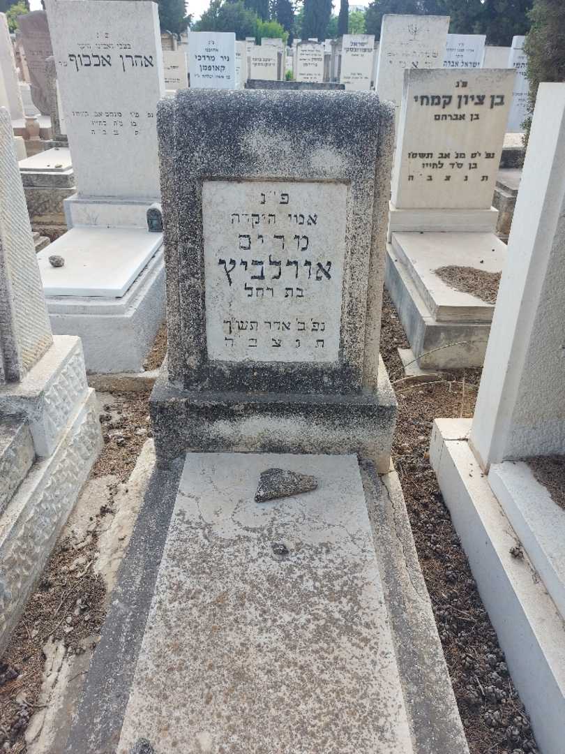 קברו של מרים אורלביץ