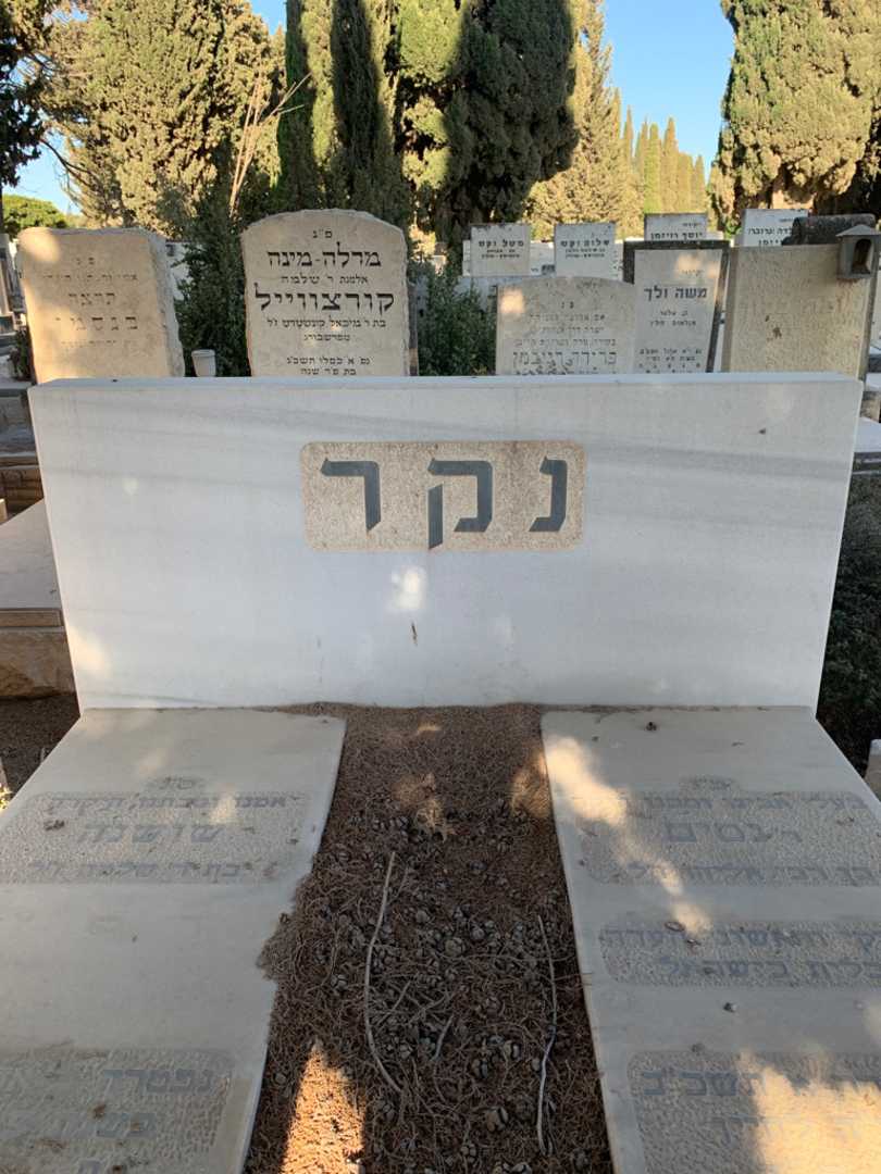 קברו של נסים נקר. תמונה 1